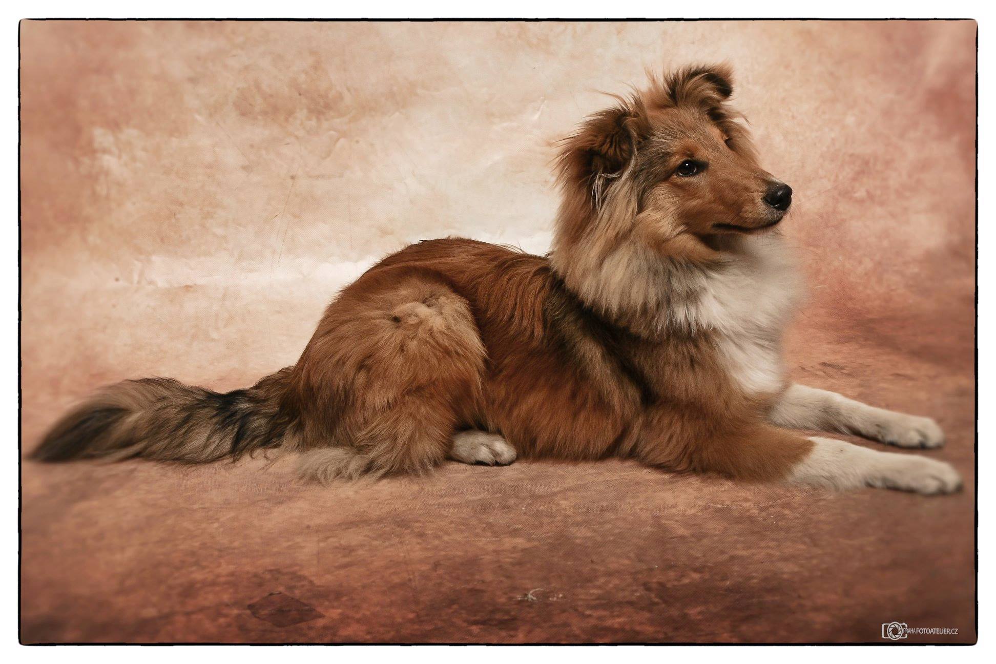 Bastien Baltazar Dancing in the wind